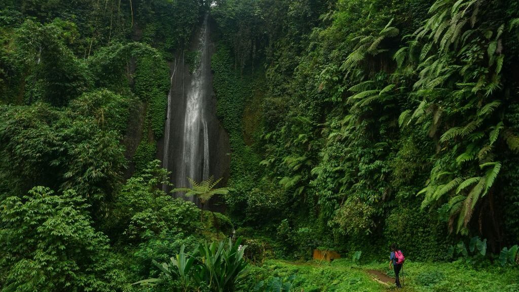 Una cascata in un ambiente tropicale, con un esploratore alla base