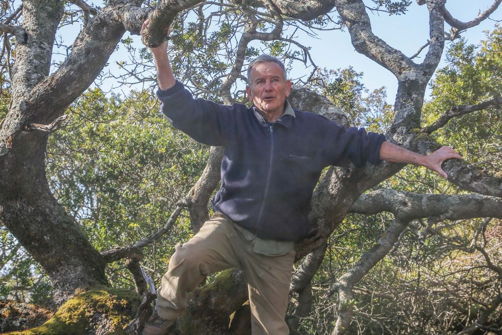 Domenico Ruiu nella foresta di lentisco