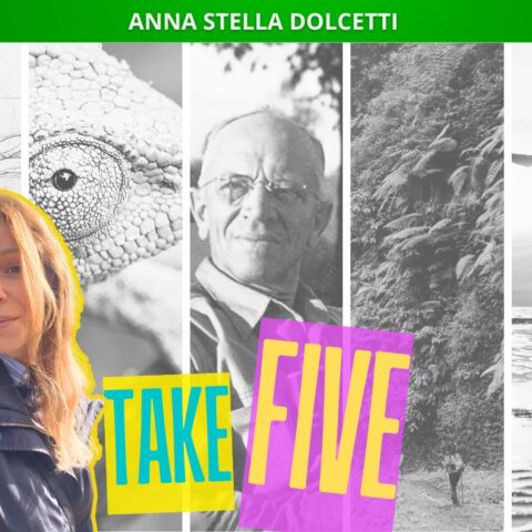 Take five: cinque falsi miti sulla natura, composizione grafica