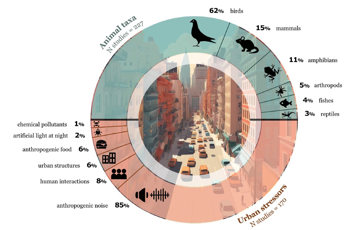 Aerogramma dei gruppi animali (in azzurro) e degli stressor urbani (in rosa). Fonte: Maune, Caspers & Damas-Moreira (2026). The impact of urbanisation on social behaviour: a comprehensive review. Biological Reviews