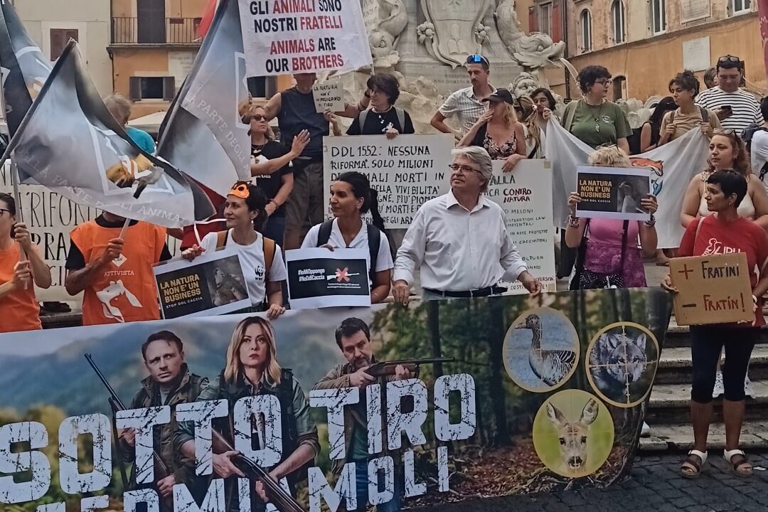 Pantheon contro il ddl caccia, martedì 23 giugno. Foto: Sapereambiente
