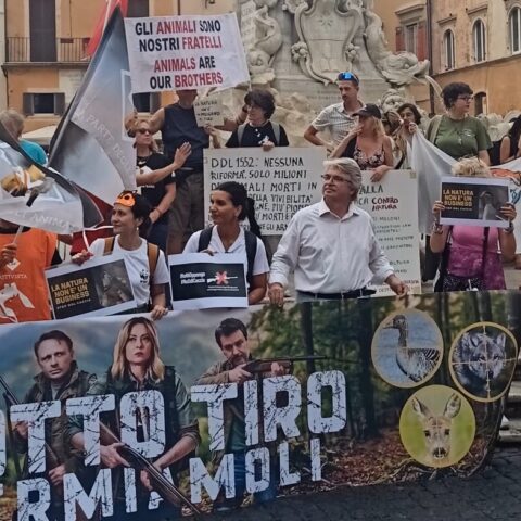 Pantheon contro il ddl caccia, martedì 23 giugno. Foto: Sapereambiente