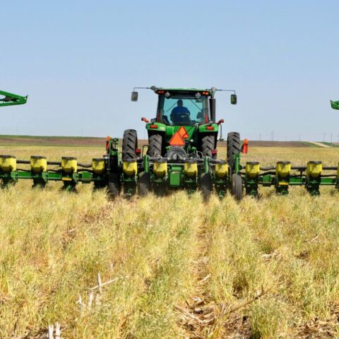 agricoltura moderna
