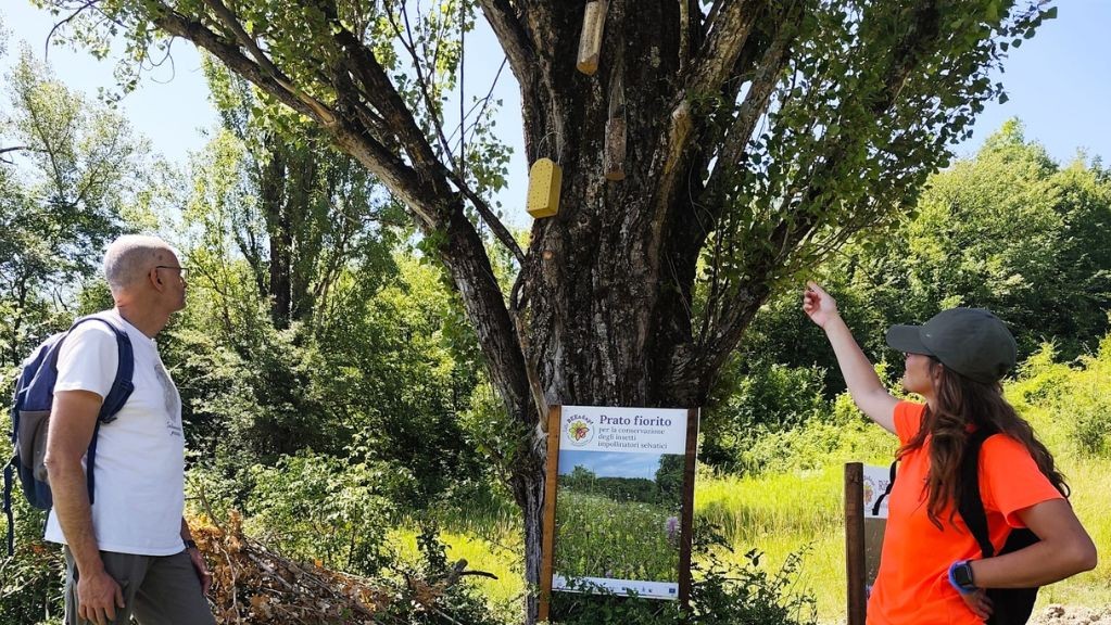 Giovanni Carotti e Margherita Coviello, entomologi del Parco Nazionale Tosco-Emiliano, mostrano un esempio di albero habitat a margine di un prato fiorito