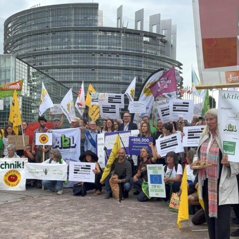 Manifestazione contro gli Ngt, Strasburgo 16 giugno 2026. Foto: Francesco Panié