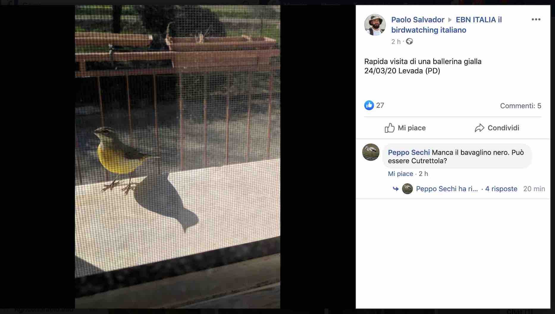 Una visita sul balcone di un attivista della rete EuroBirdNet