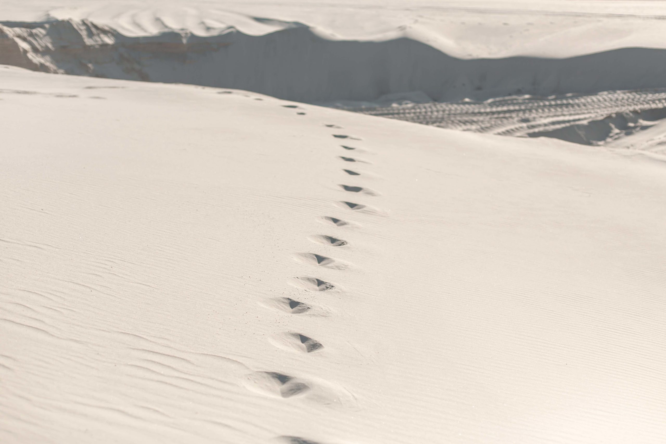 Impronte nel deserto