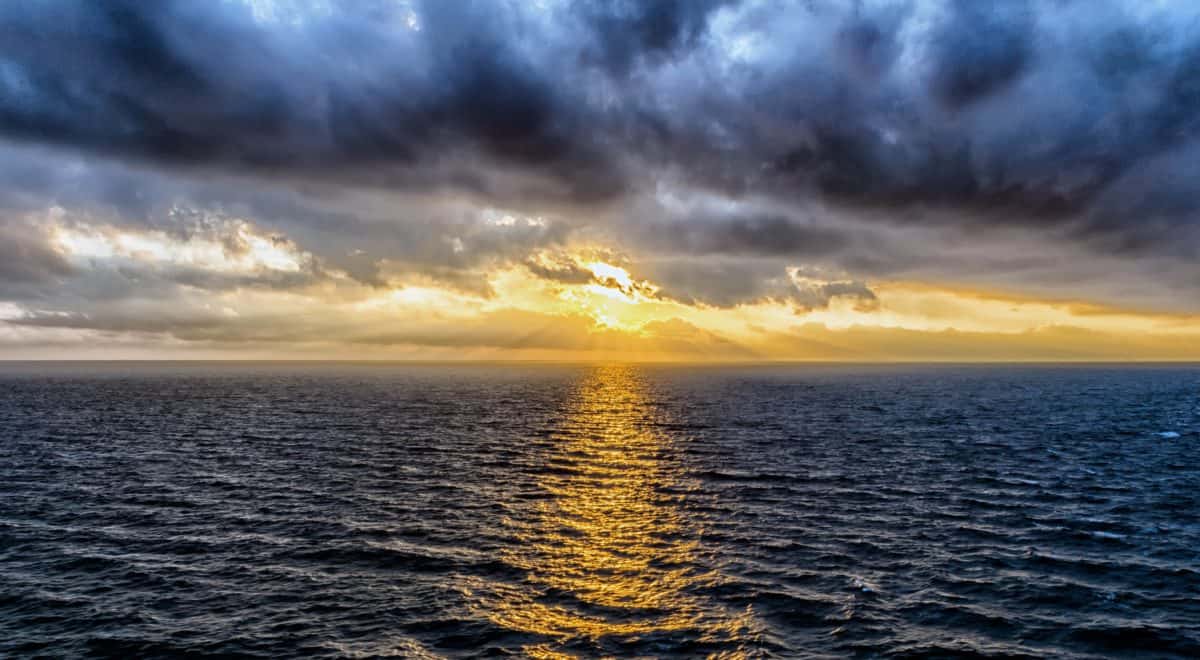 Acqua piovana, l'oro blu del cielo: come raccoglierla e usarla