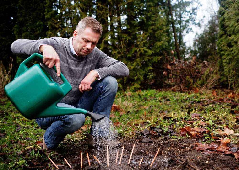 Michael Stausholm mentre annaffia le matite Sprout nel giardino