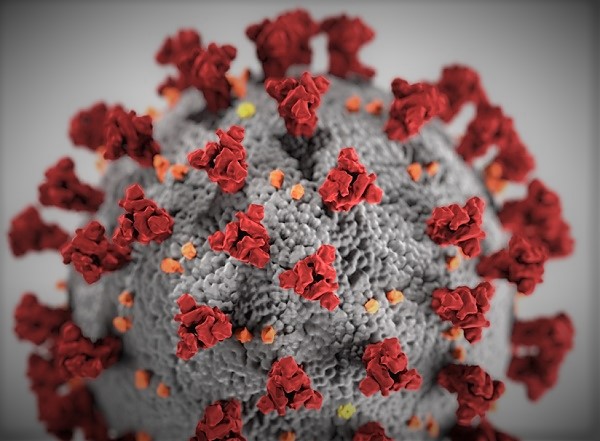 SARS-CoV-2 virus