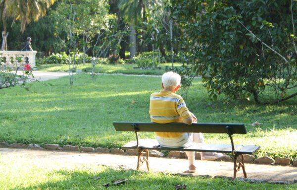 Un anziano su una panchina, di spalle, in un parco