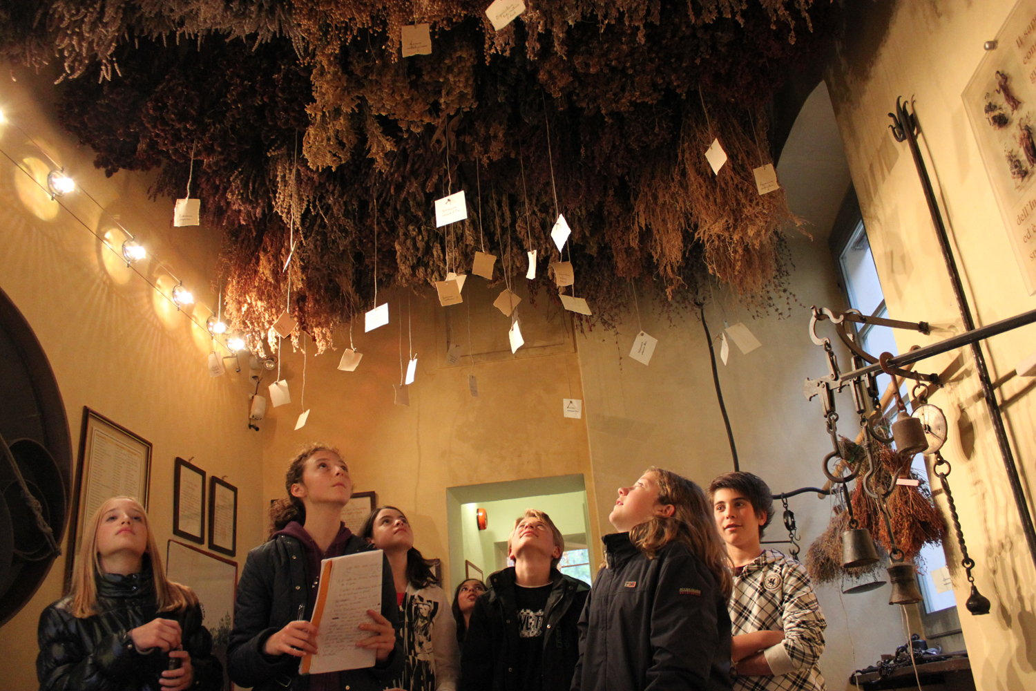 Ragazzi visitano il Museo di Aboca