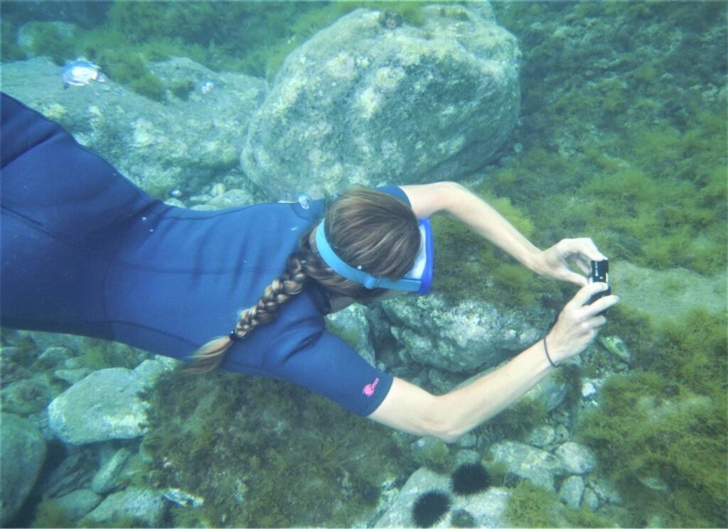 Fra le realtà più attive nella City nature Challenge c'è il Muma, Museo del mare di Milazzo