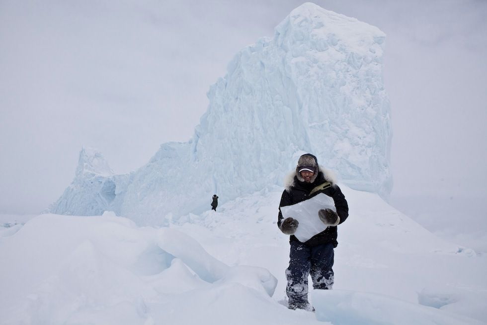 cacciatori di iceberg