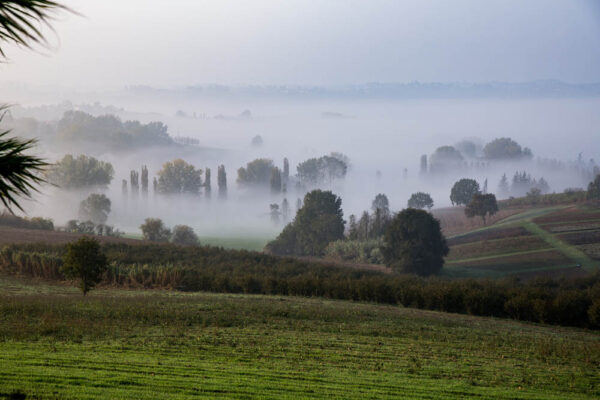 Una veduta del territorio monferratese, nella nebbia