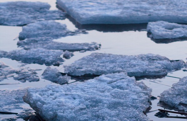 ghiaccio dell'artico in scioglimento