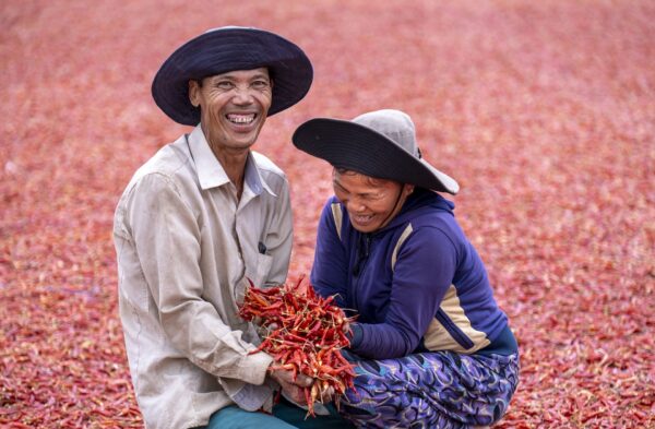 Due agricoltori asiatici in un campo di peperoncini