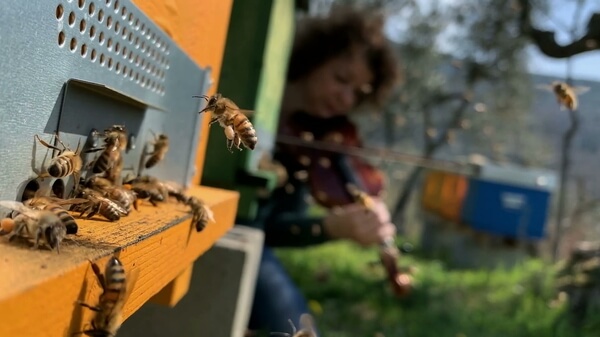 Tobees sonorizzazioni per la biodiversità