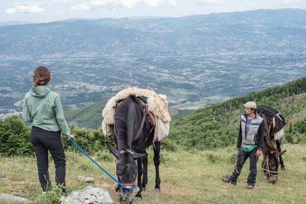 sosta panoramica con le mule