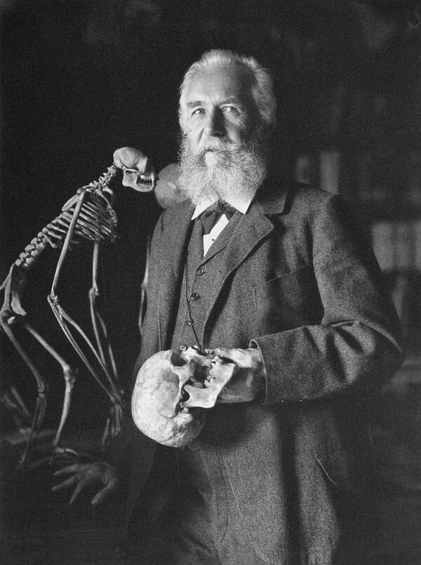 Lo scienziato tedesco Ernst Haeckel