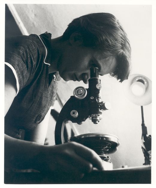 Rosalind Franklin, la scienziata che scoprì la struttura a elica del Dna