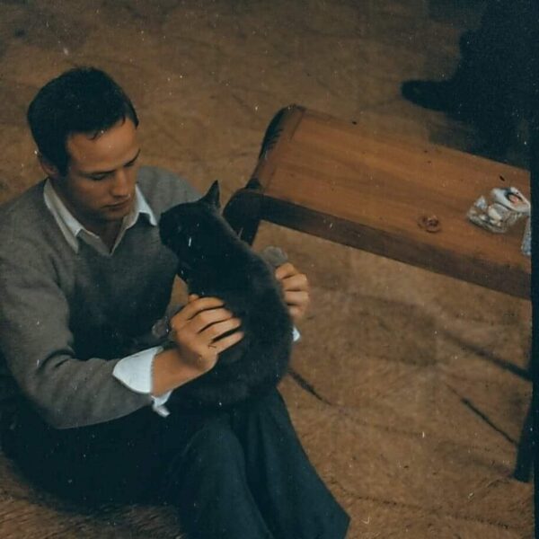 Marlon Brando con uno dei suoi gatti