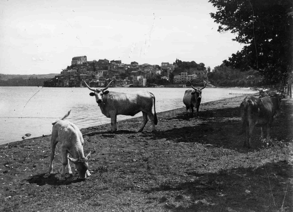 Il lungolago di Anguillara, in provincia di Roma. Lo scatto è dell'agenzia Constrasto