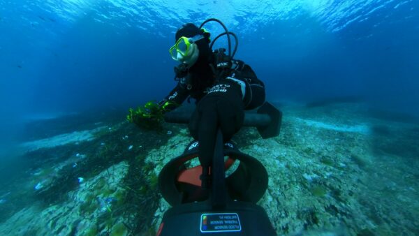 Un biologo marino sui fondali mentre partecipa al progetto di ripristino della Posidonia oceanica