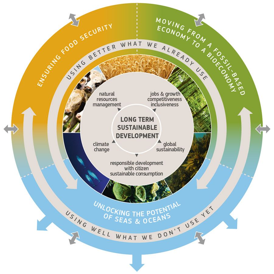 Rappresentazione grafica della Strategia europea per la Bioeconomia