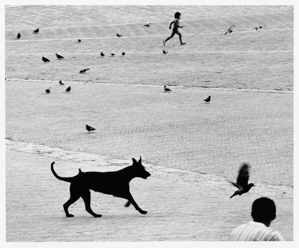 Un magistrale bianco e nero di Berengo Gardin, con un cane che si staglia nello spazio di una piazza mentre corre insieme a un bambino